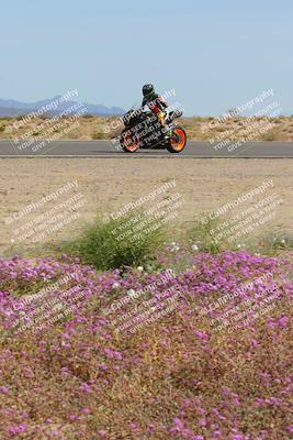 media/Mar-12-2023-SoCal Trackdays (Sun) [[d4c8249724]]/Turn 15 Inside Bloom (130pm)/